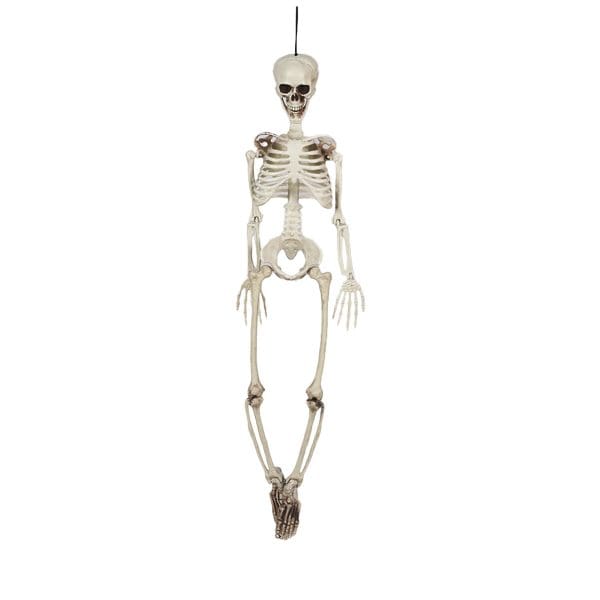 Hanging Skeleton 36in