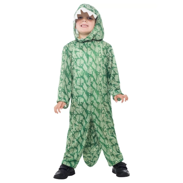 kids dinosaur costume