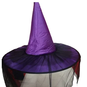 purple witch hat