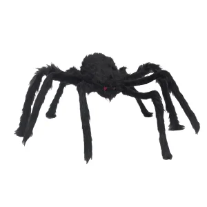 black-spider