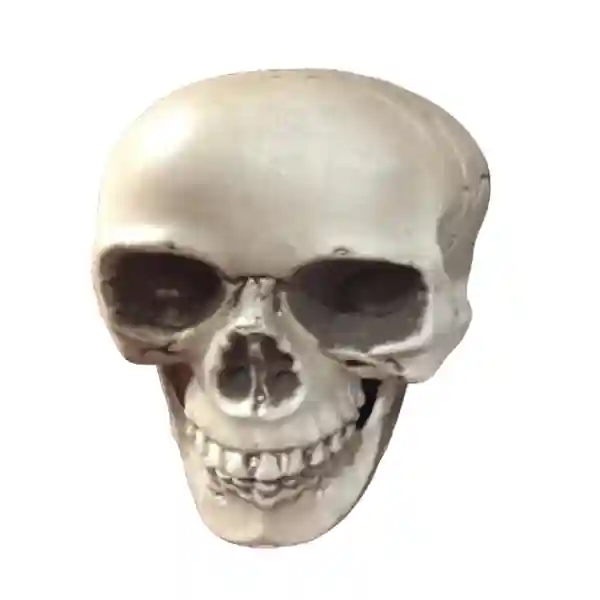 plastic-skull