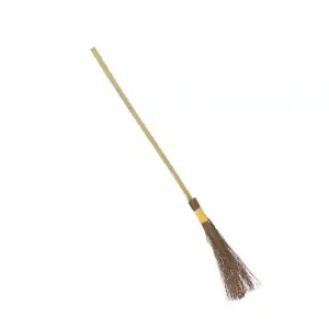 witch-broom